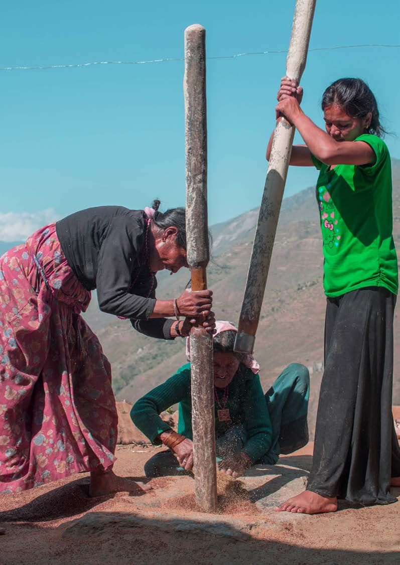 Three women pound grain with tall wooden pestles on a hillside threshing ground.